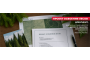 Проект освоения лесов: ключевой документ для работы на лесном участке